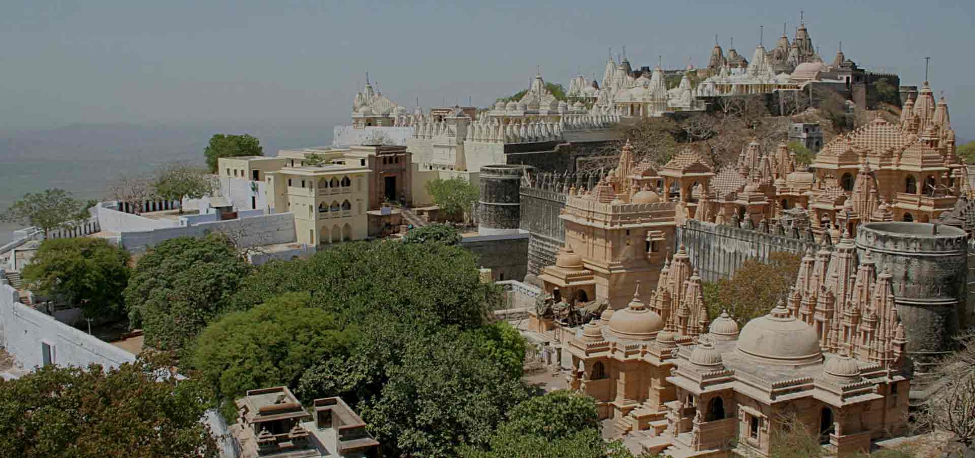 Bhavnagar - Photo 4