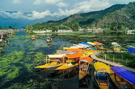 Srinagar - Photo 7