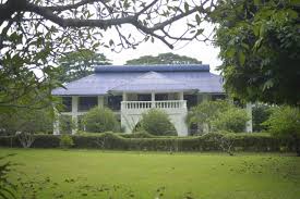 Cinnamora Tea Estate - Photo 2