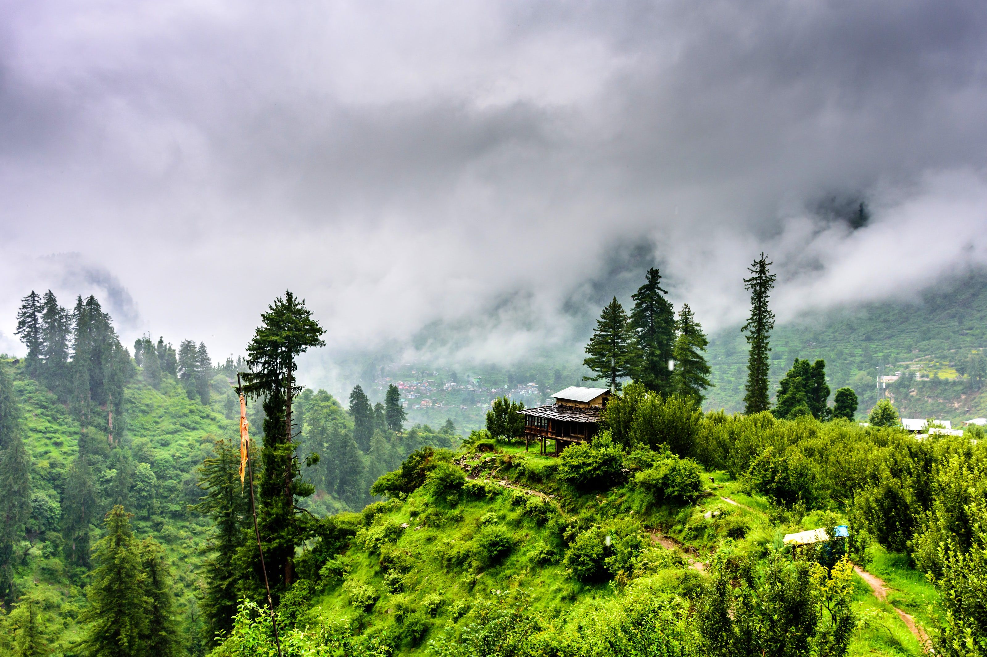 Kasauli - Photo 6