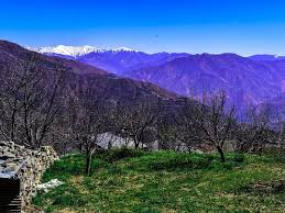 Kotgarh - Photo 3