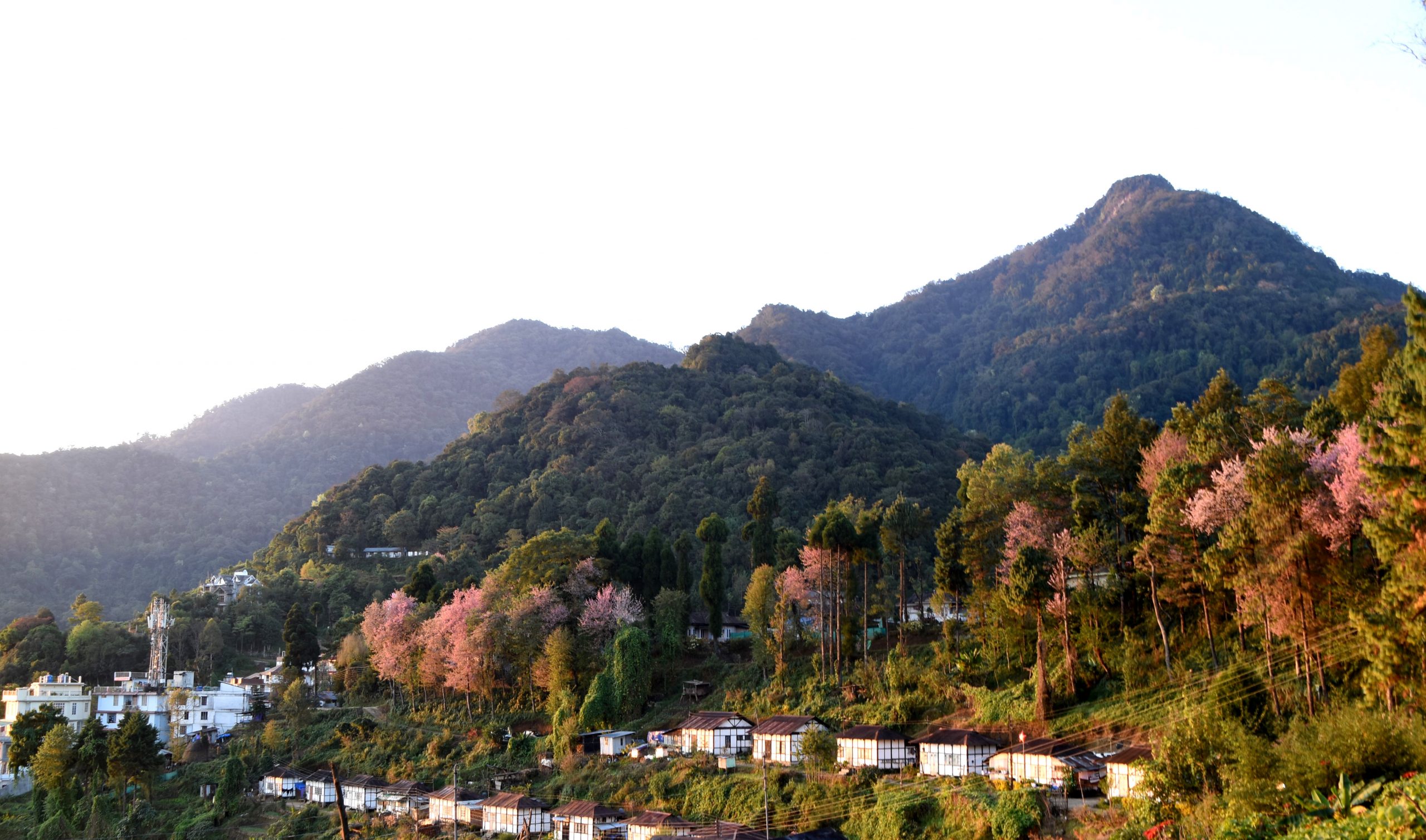 Kohima - Photo 4