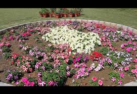Rose Garden - Photo 2
