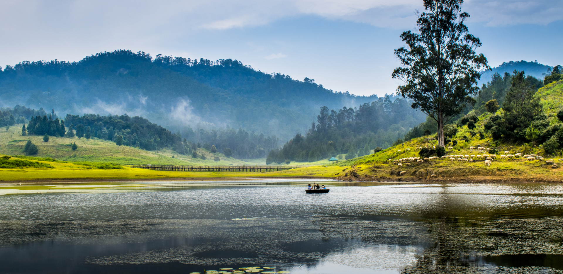 Kodaikanal - Photo 7