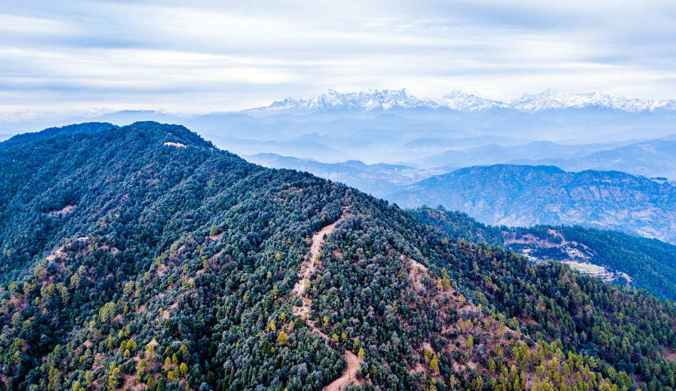 Binsar - Photo 7