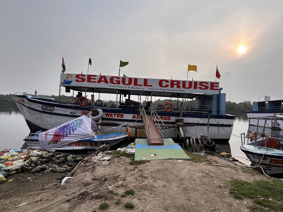 Seagull Cruise