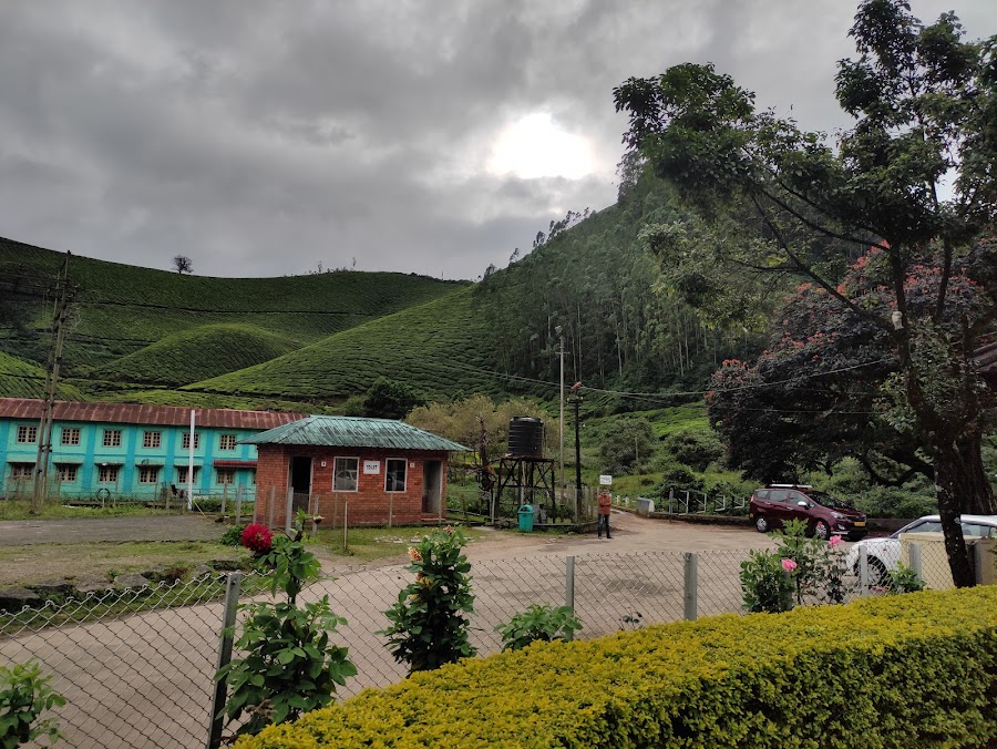 Tata Tea Museum - Photo 4