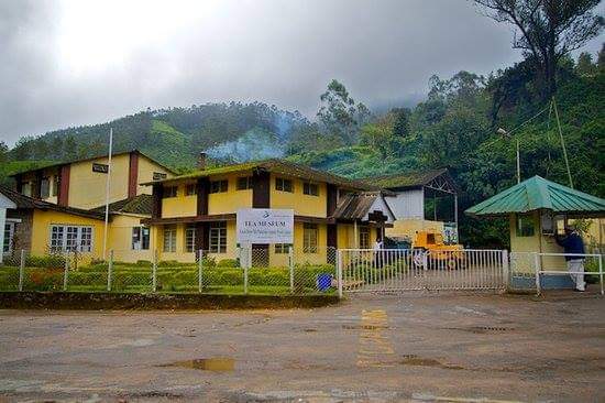 Tata Tea Museum - Photo 2