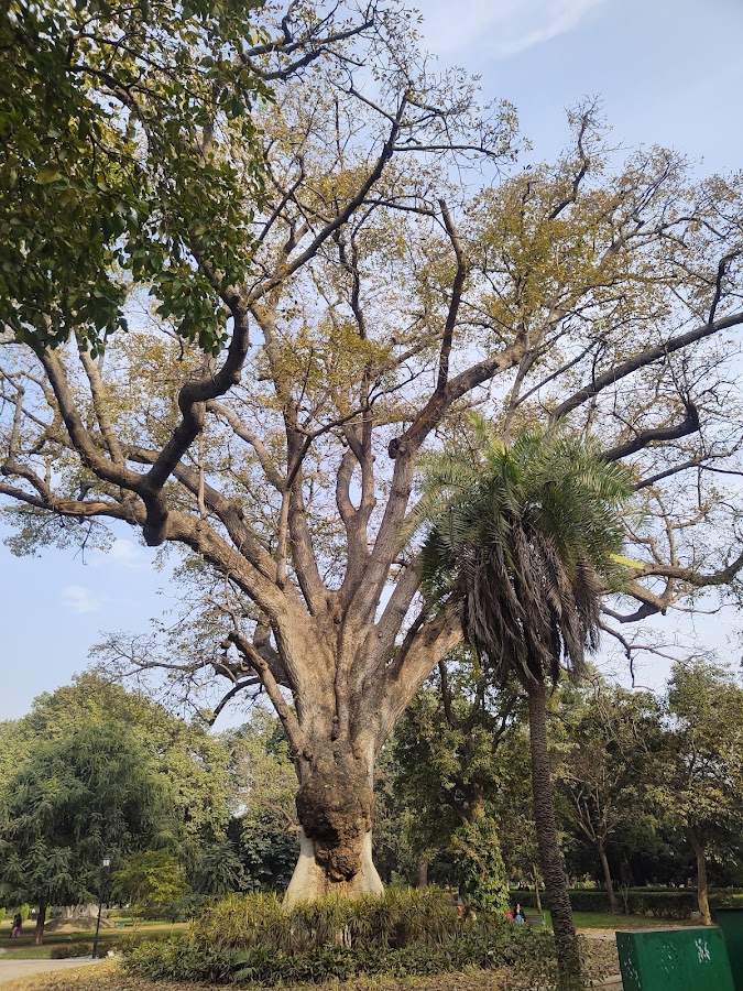 Baradari Gardens - Photo 4