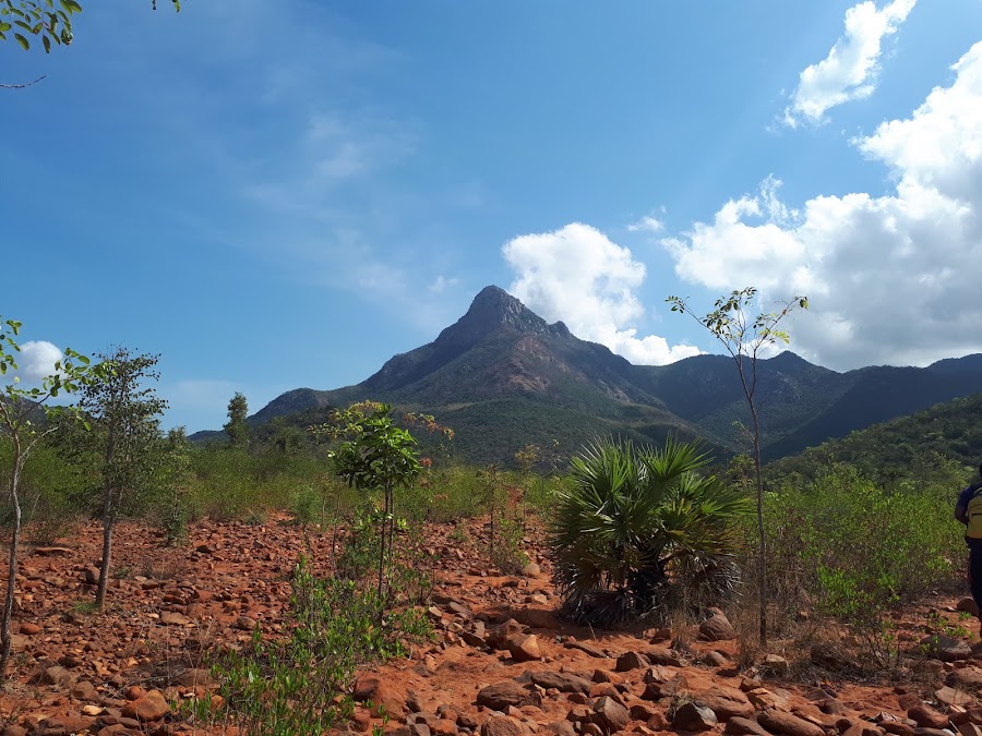 Nagari Hills - Photo 2
