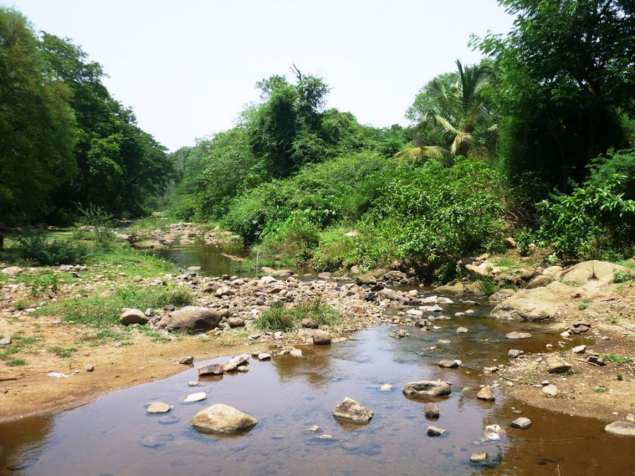 Amirthi Zoological Park - Photo 4