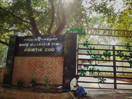 Amirthi Zoological Park - Photo 2