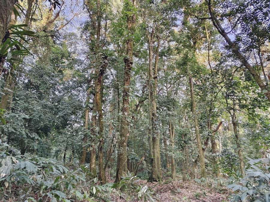 Mehao Wildlife Sanctuary - Photo 4