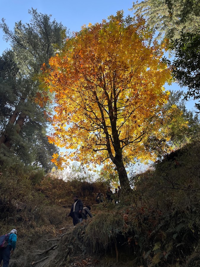 Grahan Village - Photo 3
