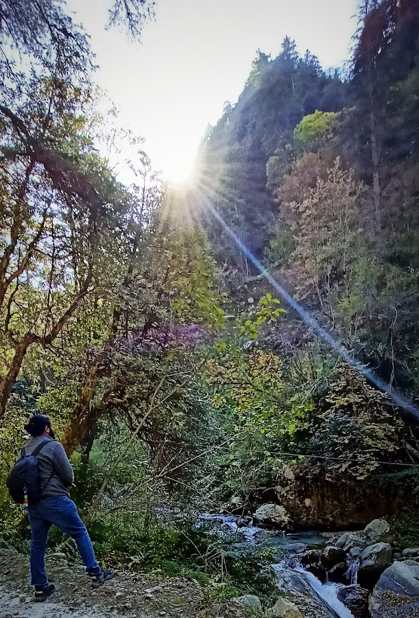 Grahan Village - Photo 2