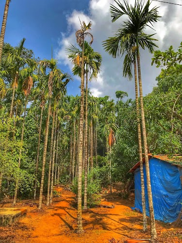 Agumbe Rainforest Research Station - Photo 4