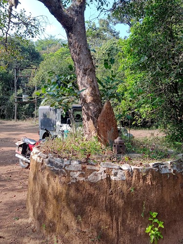 Agumbe Rainforest Research Station - Photo 3