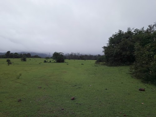Agumbe Rainforest Research Station - Photo 2