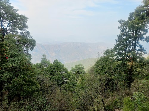 Binsar Wildlife Sanctuary - Photo 4