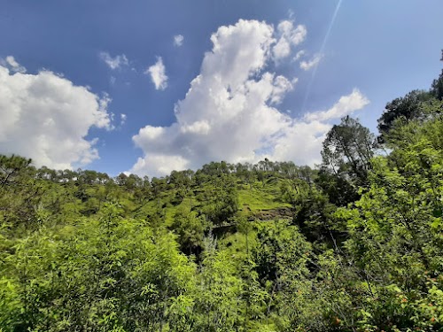 Binsar Wildlife Sanctuary - Photo 3