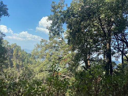 Binsar Wildlife Sanctuary - Photo 2