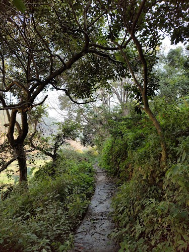 Binsar Wildlife Sanctuary - Photo 6