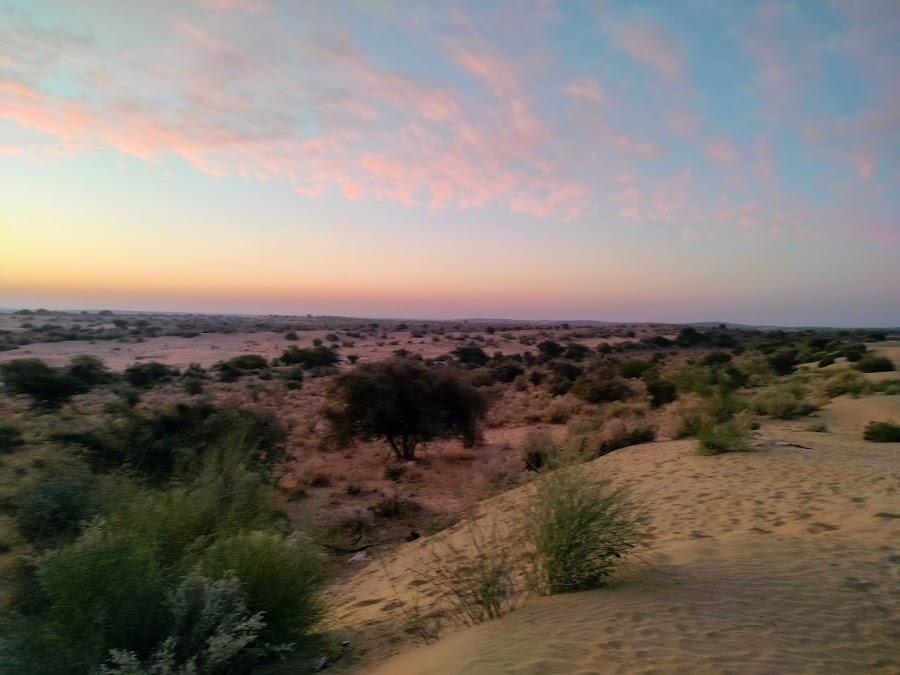 Khuri Sand Dunes - Photo 2