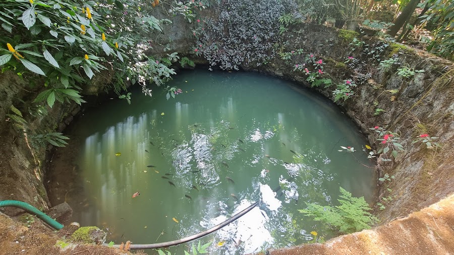 Abraham's Spice Garden - Photo 2
