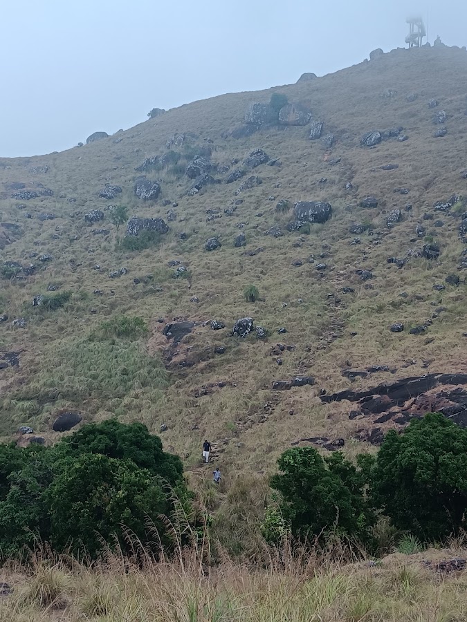 Ponmudi Hill Station - Photo 4
