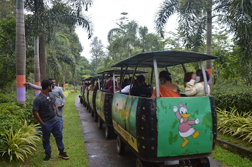 Padmapuram Garden - Photo 4