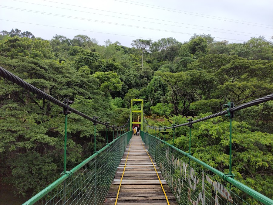 Thenmala Ecotourism - Photo 4