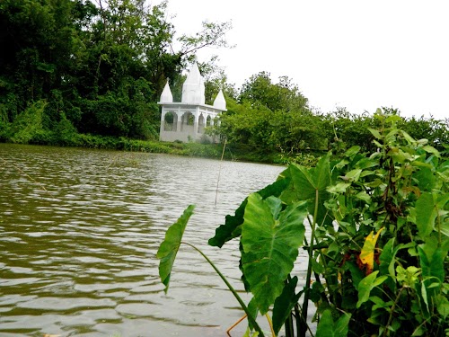 Dharmanagar - Photo 2