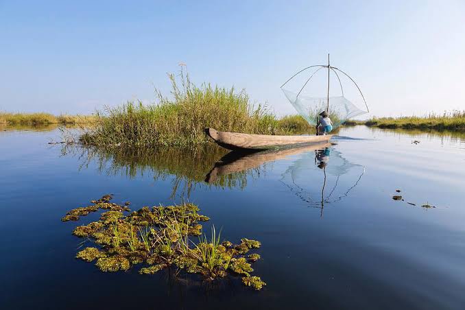 Loktak Lake - Photo 3