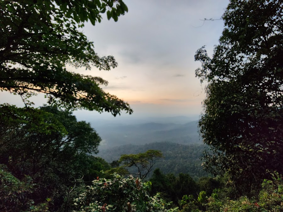 Someshwara Wildlife Sanctuary - Photo 2
