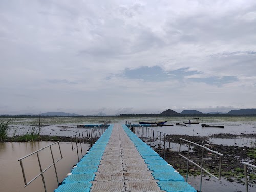 Kondakarla Bird Sanctuary - Photo 4