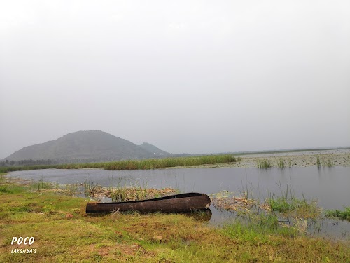Kondakarla Bird Sanctuary - Photo 2