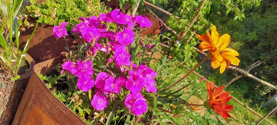 Sitla - Photo 10