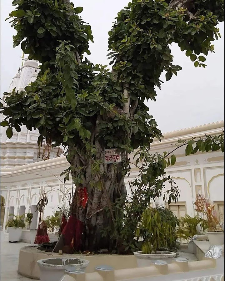 Panch Mandir - Photo 4
