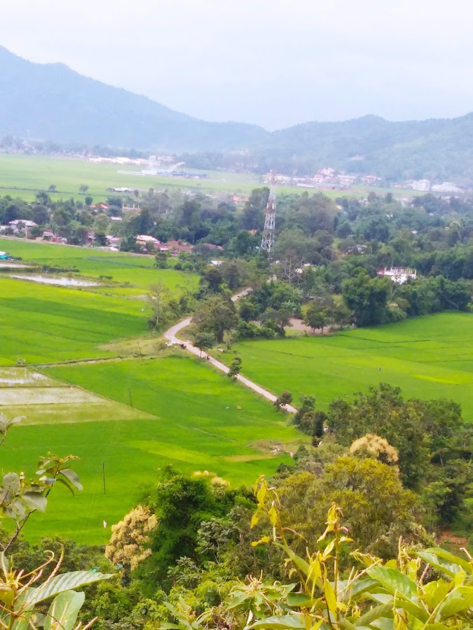 Lui Phangane - Photo 2