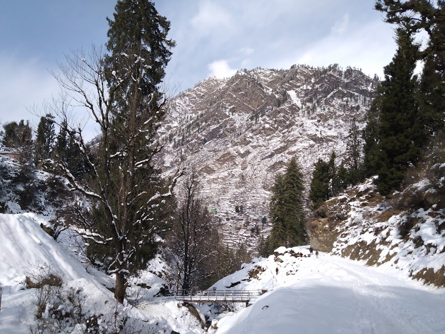 Pulga Village - Photo 4