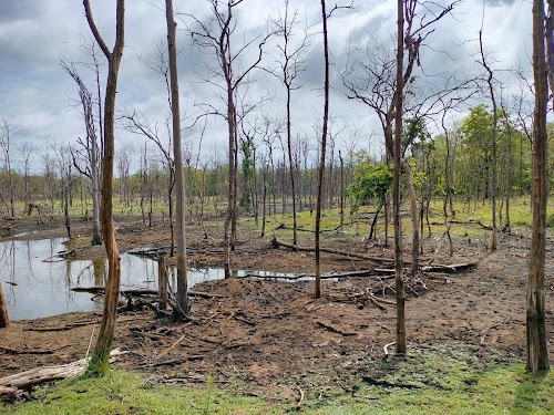 Kawal Tiger Reserve - Photo 3