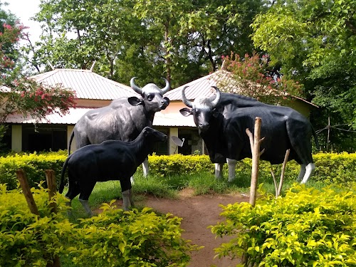 Kawal Tiger Reserve - Photo 4