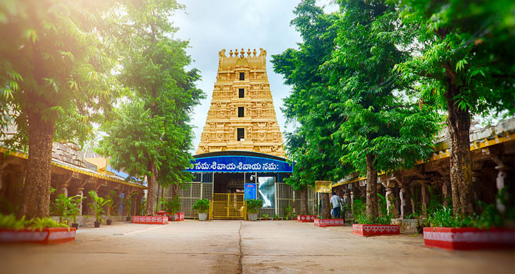 Sri Mallikarjuna Swamy Jyotirlinga Temple - Photo 5