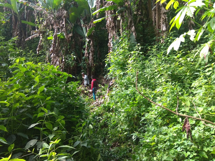 Thorangtlang Wildlife Sanctuary - Photo 3
