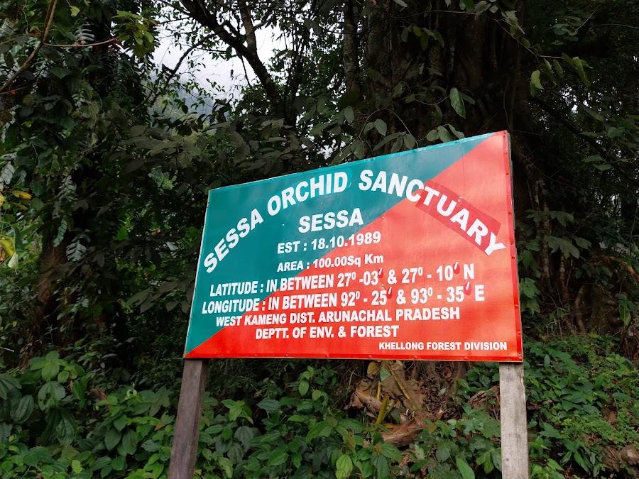 Sessa Orchid Sanctuary - Photo 2