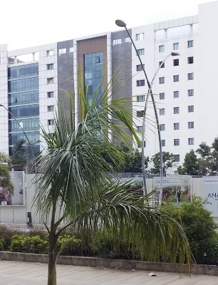Solapur - Photo 2