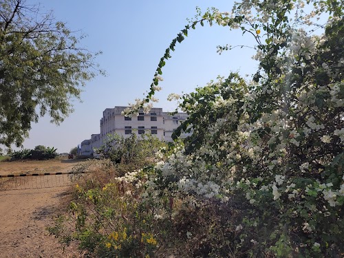 Solapur - Photo 3