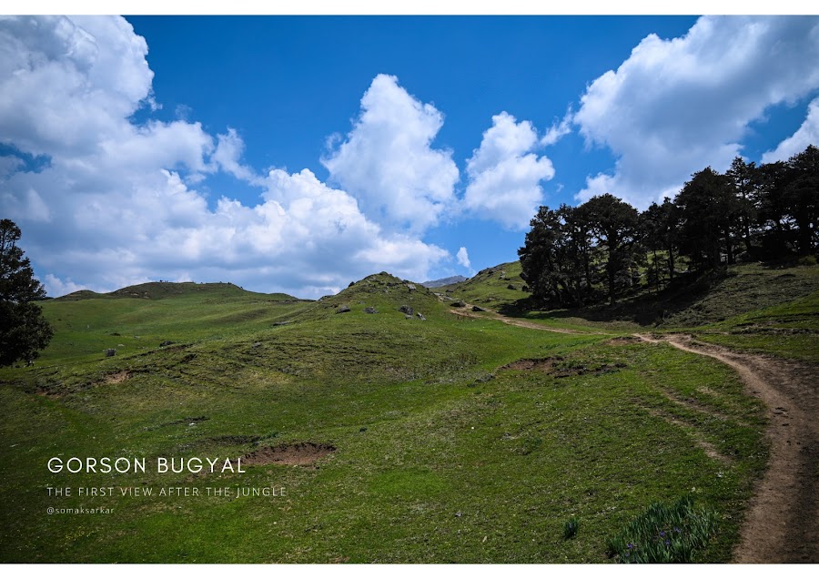 Gurson Bugyal - Photo 2