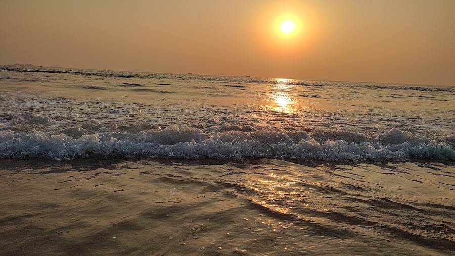 Bhogwe Beach - Photo 4