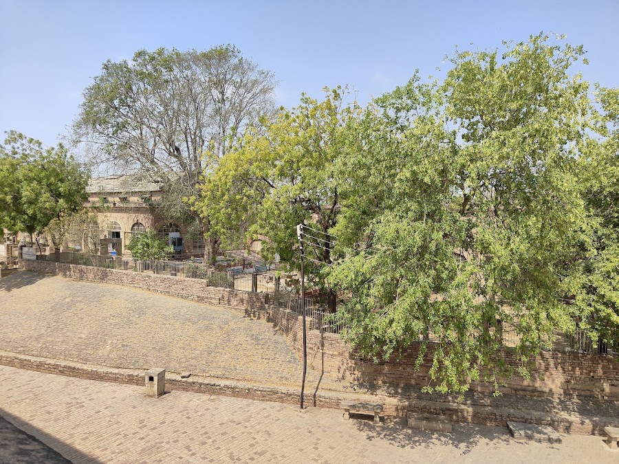 Man Mandir Palace - Photo 4